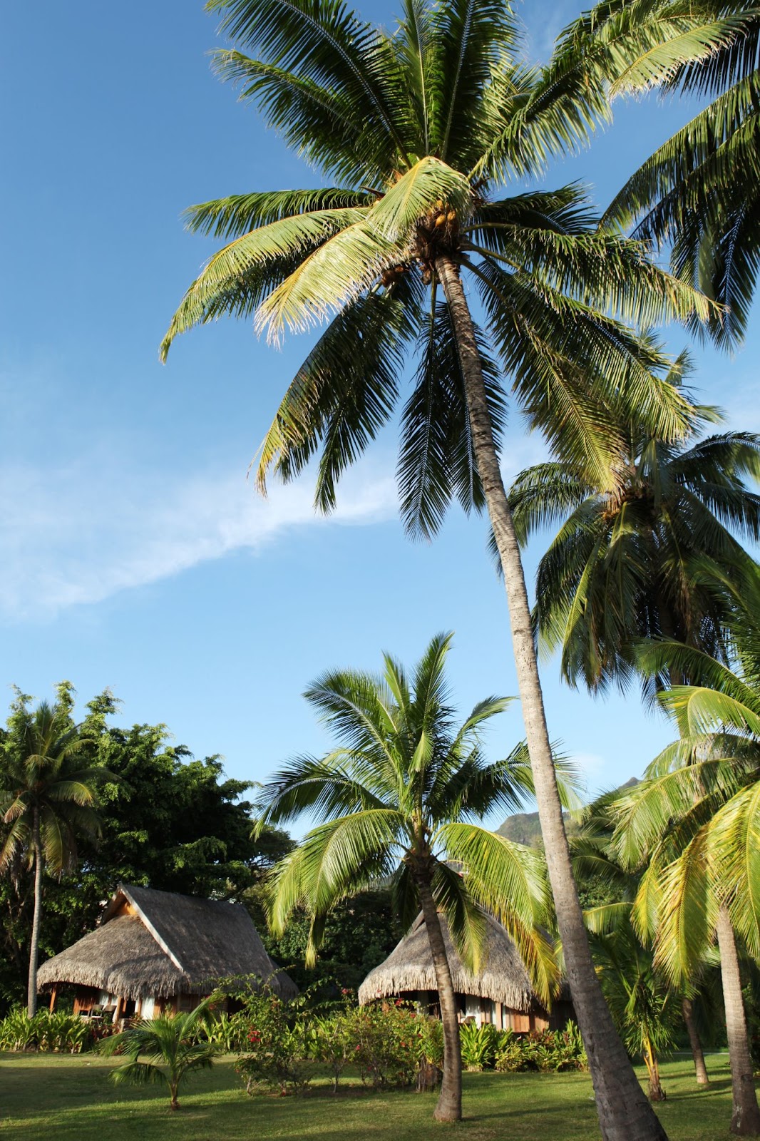 MOZ_Luxury Garden Bungalows©Sofitel Moorea (1)